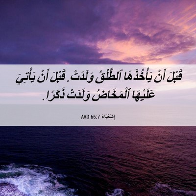 Picture 06 - إِشَعْيَاءَ 66:7 AVD - قَبْلَ أَنْ يَأْخُذَهَا - Bible Verse Picture
