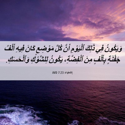 Picture 06 - إِشَعْيَاءَ 7:23 AVD - وَيَكُونُ فِي ذَلِكَ - Bible Verse Picture