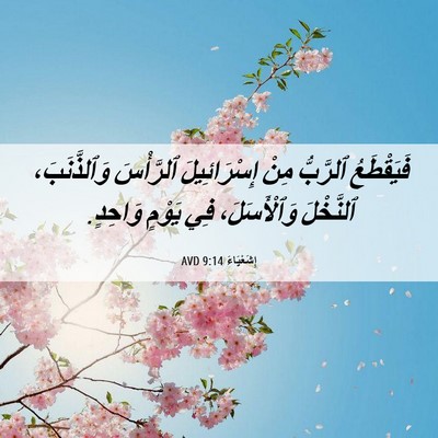 Picture 06 - إِشَعْيَاءَ 9:14 AVD - فَيَقْطَعُ ٱلرَّبُّ مِنْ - Bible Verse Picture