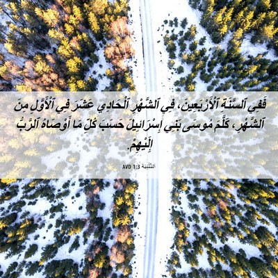 Picture 06 - اَلتَّثْنِيَة 1:3 AVD - فَفِي ٱلسَّنَةِ - Bible Verse Picture