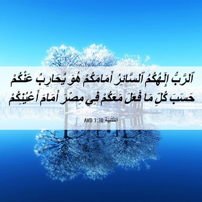 Picture 06 - اَلتَّثْنِيَة 1:30 AVD - ٱلرَّبُّ إِلَهُكُمُ - Bible Verse Picture