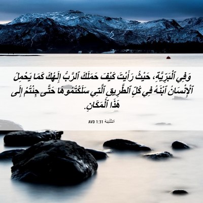 Picture 06 - اَلتَّثْنِيَة 1:31 AVD - وَفِي ٱلْبَرِّيَّةِ، - Bible Verse Picture