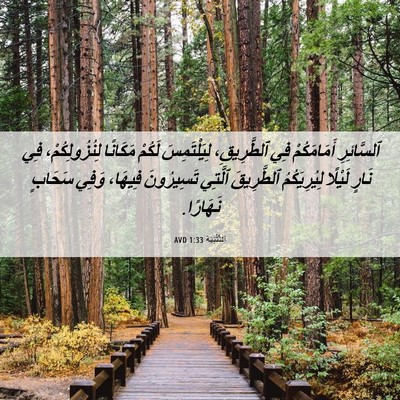 Picture 06 - اَلتَّثْنِيَة 1:33 AVD - ٱلسَّائِرِ أَمَامَكُمْ - Bible Verse Picture