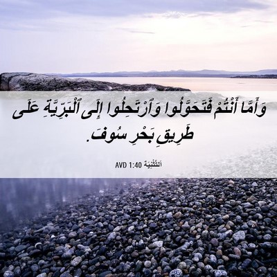 Picture 06 - اَلتَّثْنِيَة 1:40 AVD - وَأَمَّا أَنْتُمْ - Bible Verse Picture
