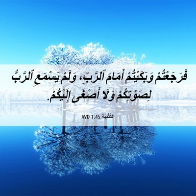 Picture 06 - اَلتَّثْنِيَة 1:45 AVD - فَرَجَعْتُمْ وَبَكَيْتُمْ - Bible Verse Picture