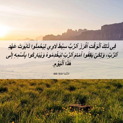 Picture 06 - اَلتَّثْنِيَة 10:8 AVD - فِي ذَلِكَ ٱلْوَقْتِ - Bible Verse Picture