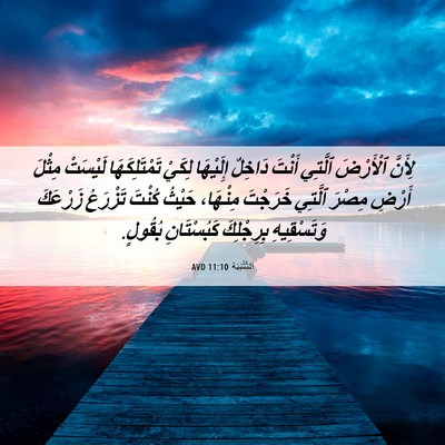 Picture 06 - اَلتَّثْنِيَة 11:10 AVD - لِأَنَّ ٱلْأَرْضَ ٱلَّتِي - Bible Verse Picture