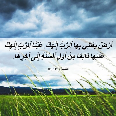 Picture 06 - اَلتَّثْنِيَة 11:12 AVD - أَرْضٌ يَعْتَنِي بِهَا - Bible Verse Picture