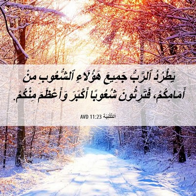 Picture 06 - اَلتَّثْنِيَة 11:23 AVD - يَطْرُدُ ٱلرَّبُّ جَمِيعَ - Bible Verse Picture