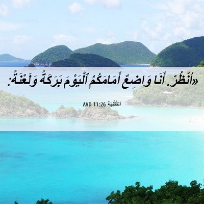 Picture 06 - اَلتَّثْنِيَة 11:26 AVD - «اُنْظُرْ. أَنَا وَاضِعٌ - Bible Verse Picture