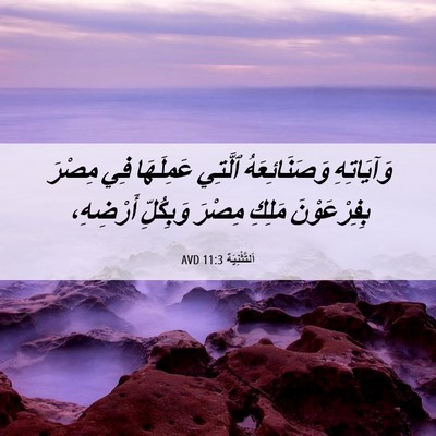Picture 06 - اَلتَّثْنِيَة 11:3 AVD - وَآيَاتِهِ وَصَنَائِعَهُ - Bible Verse Picture