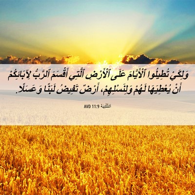 Picture 06 - اَلتَّثْنِيَة 11:9 AVD - وَلِكَيْ تُطِيلُوا - Bible Verse Picture