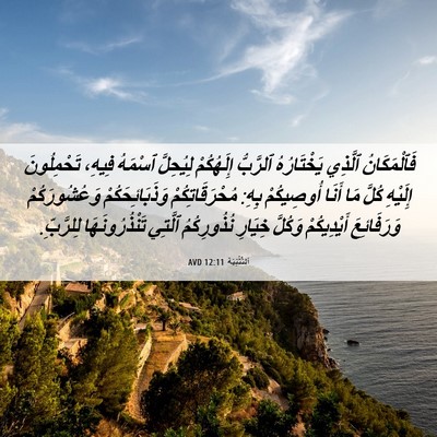 Picture 06 - اَلتَّثْنِيَة 12:11 AVD - فَٱلْمَكَانُ ٱلَّذِي - Bible Verse Picture