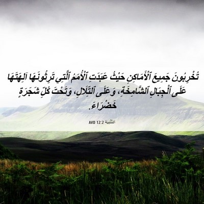 Picture 06 - اَلتَّثْنِيَة 12:2 AVD - تُخْرِبُونَ جَمِيعَ - Bible Verse Picture