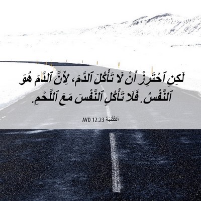Picture 06 - اَلتَّثْنِيَة 12:23 AVD - لَكِنِ ٱحْتَرِزْ أَنْ لَا - Bible Verse Picture