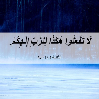 Picture 06 - اَلتَّثْنِيَة 12:4 AVD - لَا تَفْعَلُوا هَكَذَا - Bible Verse Picture