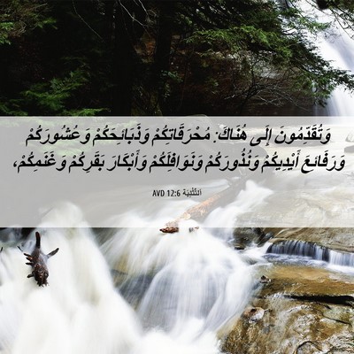 Picture 06 - اَلتَّثْنِيَة 12:6 AVD - وَتُقَدِّمُونَ إِلَى - Bible Verse Picture