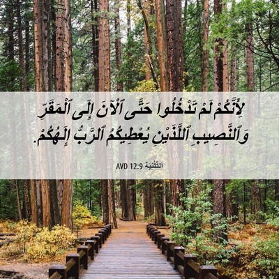 Picture 06 - اَلتَّثْنِيَة 12:9 AVD - لِأَنَّكُمْ لَمْ - Bible Verse Picture