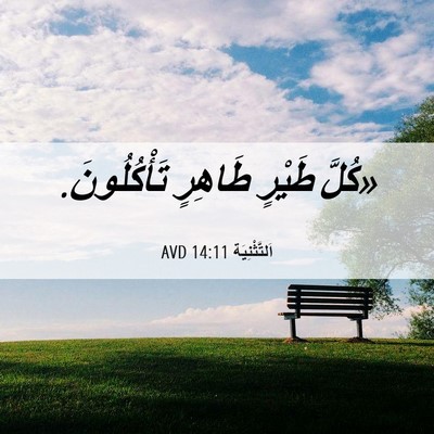 Picture 06 - اَلتَّثْنِيَة 14:11 AVD - «كُلَّ طَيْرٍ طَاهِرٍ - Bible Verse Picture