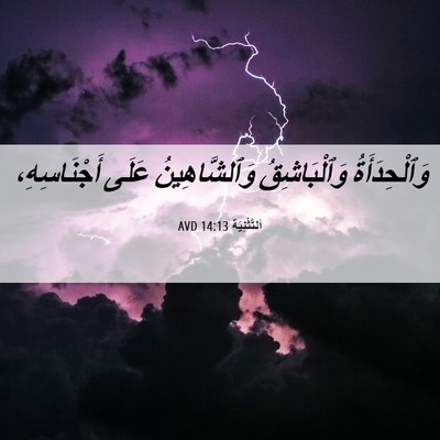 Picture 06 - اَلتَّثْنِيَة 14:13 AVD - وَٱلْحِدَأَةُ - Bible Verse Picture