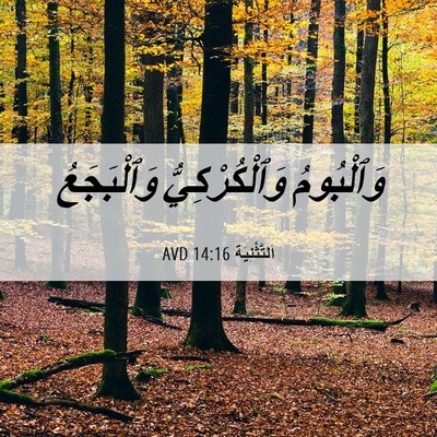 Picture 06 - اَلتَّثْنِيَة 14:16 AVD - وَٱلْبُومُ وَٱلْكُرْكِيُّ - Bible Verse Picture