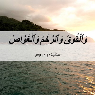 Picture 06 - اَلتَّثْنِيَة 14:17 AVD - وَٱلْقُوقُ وَٱلرَّخَمُ - Bible Verse Picture