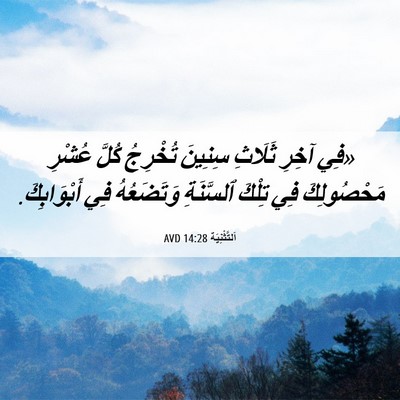 Picture 06 - اَلتَّثْنِيَة 14:28 AVD - «فِي آخِرِ ثَلَاثِ سِنِينَ - Bible Verse Picture