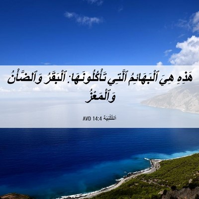 Picture 06 - اَلتَّثْنِيَة 14:4 AVD - هَذِهِ هِيَ ٱلْبَهَائِمُ - Bible Verse Picture