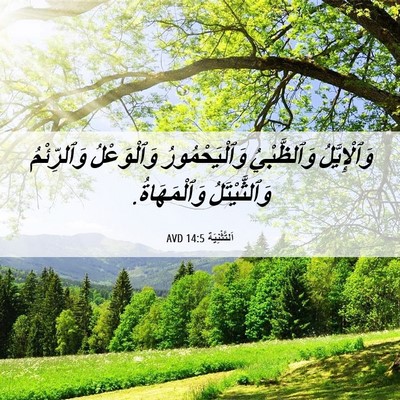 Picture 06 - اَلتَّثْنِيَة 14:5 AVD - وَٱلْإِيَّلُ وَٱلظَّبْيُ - Bible Verse Picture