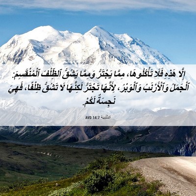 Picture 06 - اَلتَّثْنِيَة 14:7 AVD - إِلَّا هَذِهِ فَلَا - Bible Verse Picture
