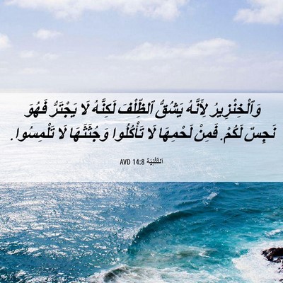 Picture 06 - اَلتَّثْنِيَة 14:8 AVD - وَٱلْخِنْزِيرُ لِأَنَّهُ - Bible Verse Picture
