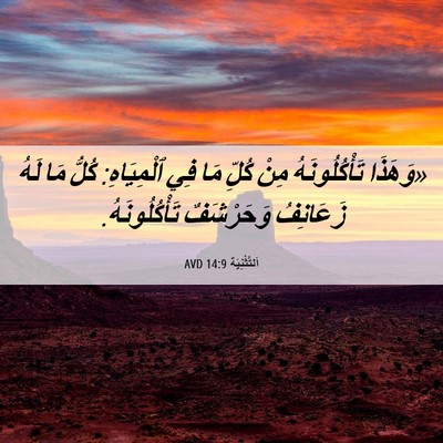 Picture 06 - اَلتَّثْنِيَة 14:9 AVD - «وَهَذَا تَأْكُلُونَهُ - Bible Verse Picture