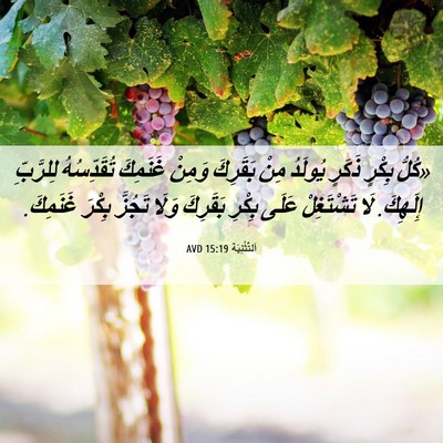 Picture 06 - اَلتَّثْنِيَة 15:19 AVD - «كُلُّ بِكْرٍ ذَكَرٍ - Bible Verse Picture