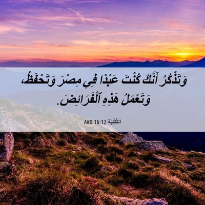 Picture 06 - اَلتَّثْنِيَة 16:12 AVD - وَتَذْكُرُ أَنَّكَ كُنْتَ - Bible Verse Picture