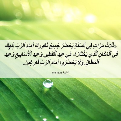 Picture 06 - اَلتَّثْنِيَة 16:16 AVD - «ثَلَاثَ مَرَّاتٍ فِي - Bible Verse Picture