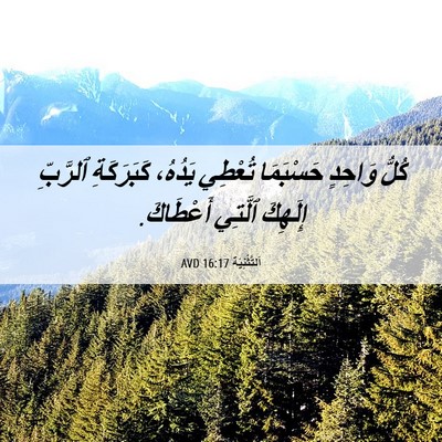 Picture 06 - اَلتَّثْنِيَة 16:17 AVD - كُلُّ وَاحِدٍ حَسْبَمَا - Bible Verse Picture