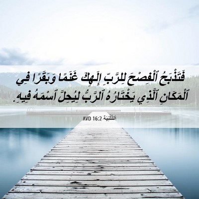 Picture 06 - اَلتَّثْنِيَة 16:2 AVD - فَتَذْبَحُ ٱلْفِصْحَ - Bible Verse Picture