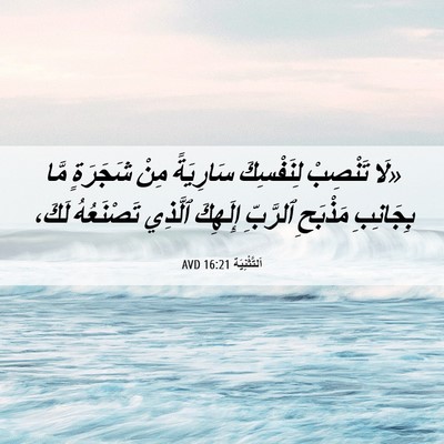Picture 06 - اَلتَّثْنِيَة 16:21 AVD - «لَا تَنْصِبْ لِنَفْسِكَ - Bible Verse Picture