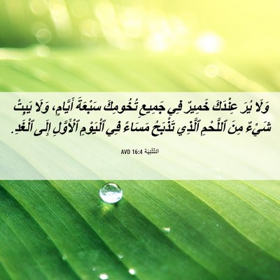Picture 06 - اَلتَّثْنِيَة 16:4 AVD - وَلَا يُرَ عِنْدَكَ - Bible Verse Picture