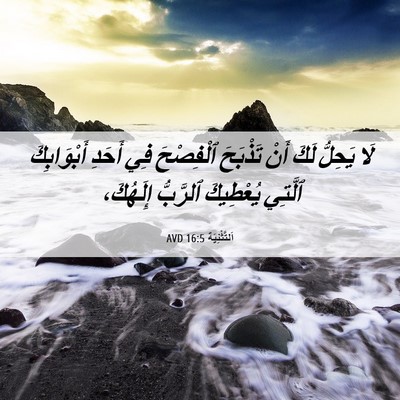 Picture 06 - اَلتَّثْنِيَة 16:5 AVD - لَا يَحِلُّ لَكَ أَنْ - Bible Verse Picture