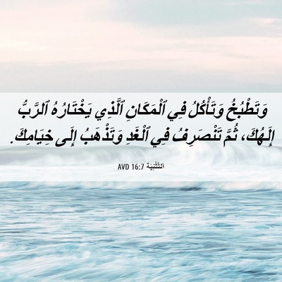 Picture 06 - اَلتَّثْنِيَة 16:7 AVD - وَتَطْبُخُ وَتَأْكُلُ فِي - Bible Verse Picture