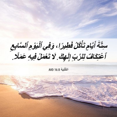 Picture 06 - اَلتَّثْنِيَة 16:8 AVD - سِتَّةَ أَيَّامٍ تَأْكُلُ - Bible Verse Picture