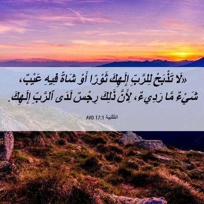 Picture 06 - اَلتَّثْنِيَة 17:1 AVD - «لَا تَذْبَحْ لِلرَّبِّ - Bible Verse Picture