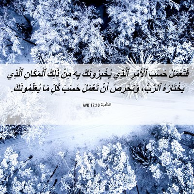 Picture 06 - اَلتَّثْنِيَة 17:10 AVD - فَتَعْمَلُ حَسَبَ - Bible Verse Picture