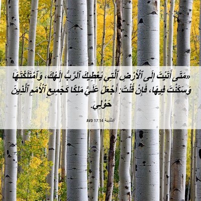 Picture 06 - اَلتَّثْنِيَة 17:14 AVD - «مَتَى أَتَيْتَ إِلَى - Bible Verse Picture