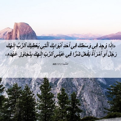 Picture 06 - اَلتَّثْنِيَة 17:2 AVD - «إِذَا وُجِدَ فِي وَسَطِكَ - Bible Verse Picture