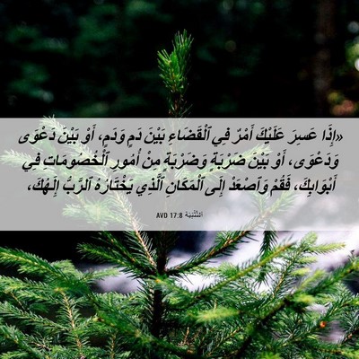Picture 06 - اَلتَّثْنِيَة 17:8 AVD - «إِذَا عَسِرَ عَلَيْكَ - Bible Verse Picture