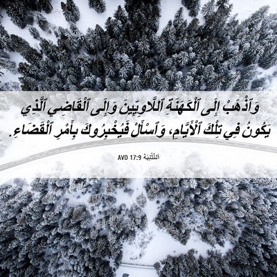 Picture 06 - اَلتَّثْنِيَة 17:9 AVD - وَٱذْهَبْ إِلَى - Bible Verse Picture