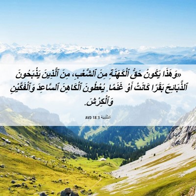 Picture 06 - اَلتَّثْنِيَة 18:3 AVD - «وَهَذَا يَكُونُ حَقُّ - Bible Verse Picture