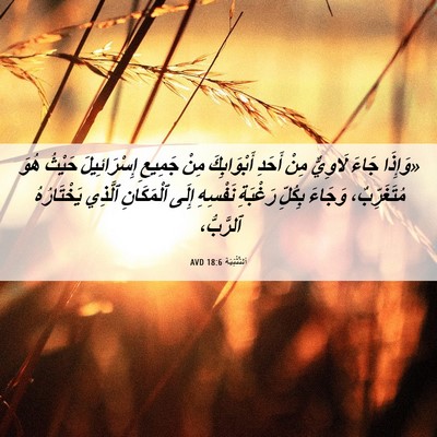 Picture 06 - اَلتَّثْنِيَة 18:6 AVD - «وَإِذَا جَاءَ لَاوِيٌّ - Bible Verse Picture